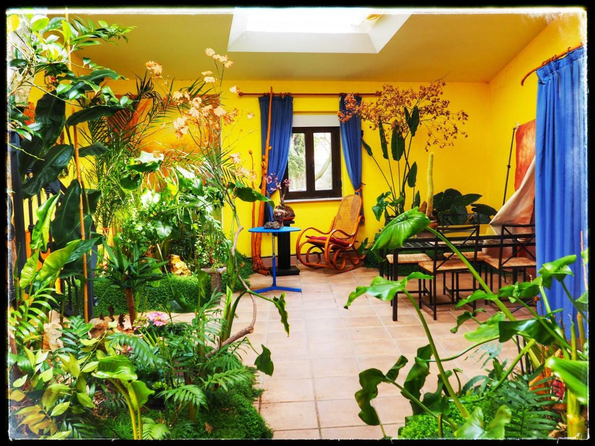 Casa Quevedo Villa Salamanca Eksteriør bilde